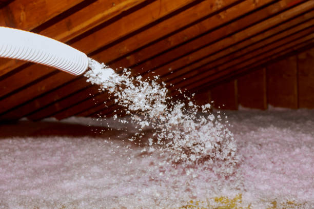 Best Insulation Removal Services  in Larch Y, WA