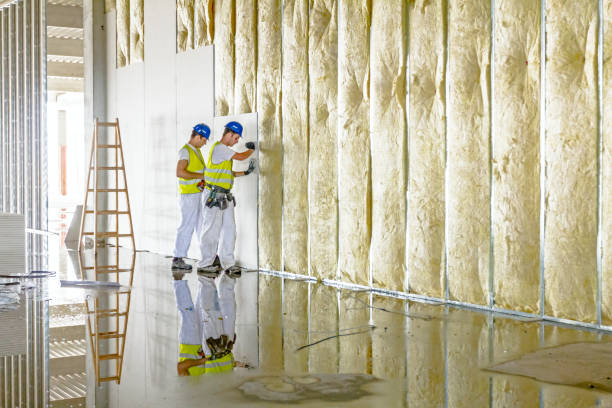 Best Insulation Contractors for Homes  in Larch Y, WA